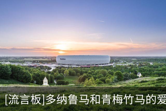 [流言板]多纳鲁马和青梅竹马的爱人举行婚礼，众多足坛好友到场祝贺